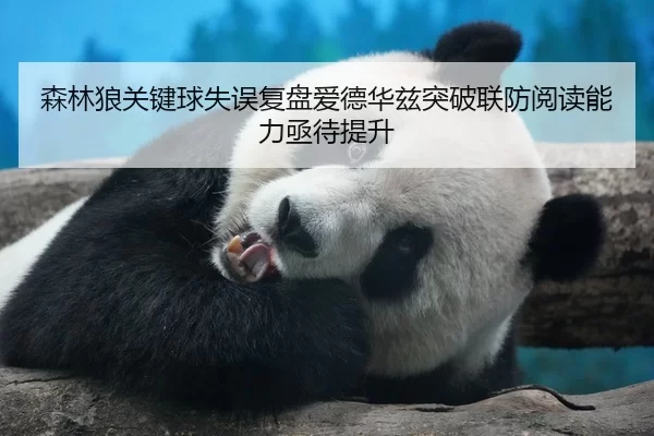 森林狼关键球失误复盘爱德华兹突破联防阅读能力亟待提升